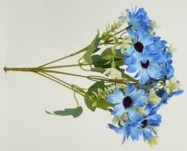 Daisy Bunch x7